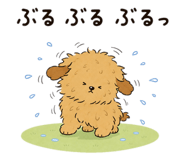 857848035