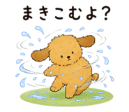 857848044
