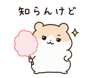 857848194