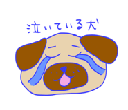 857848398