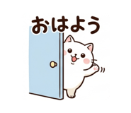 857848906
