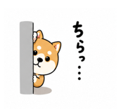 857848956