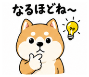 857849037