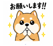 857849040