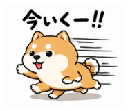 857849045