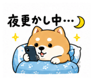 857849046