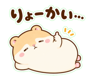 857849554