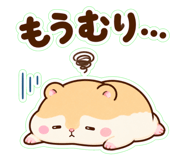 857849559