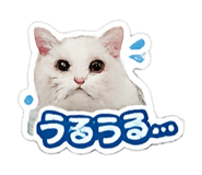 857849835