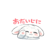 857850255