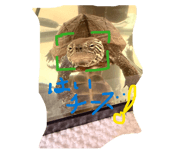 857850260