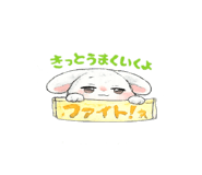857850566