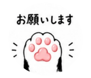 857851241