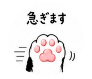 857851245