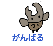 857851255