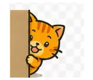 857851289