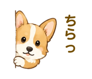 857852830