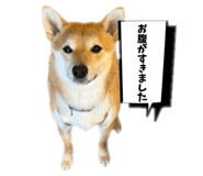 857856322