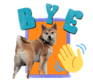 857856325