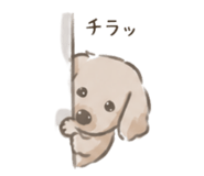 857856745