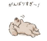 857856749