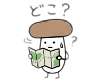 857857441
