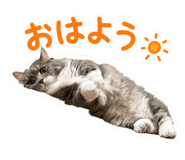 857857488
