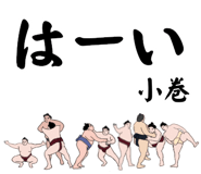 857862079