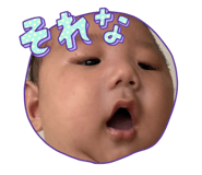 857865554