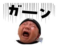 857865557