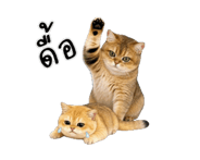 857866266