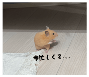 857866870