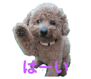 857869532