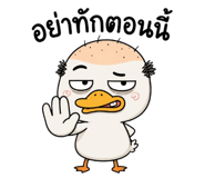 857869668