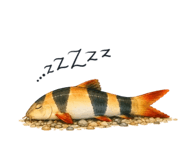 857870362