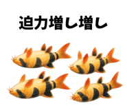 857870375