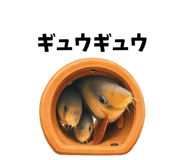 857870380