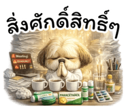 857870793