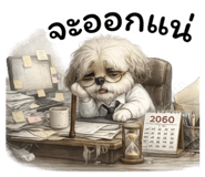 857870801