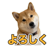 857870893