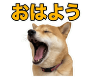 857870895