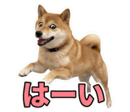 857870896