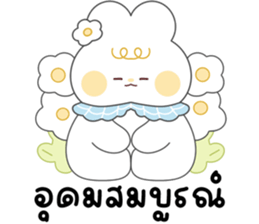 โมจิ กระต่ายน้อยน่ารัก จ้ำม่ำ 14