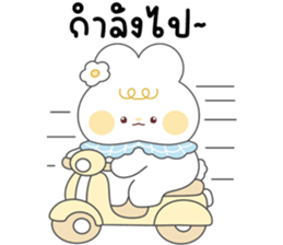 โมจิ กระต่ายน้อยน่ารัก จ้ำม่ำ 35