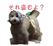 857871338