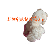 857871339