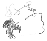 857872604