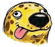 857872625