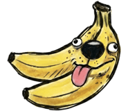 857872626