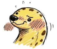 857872643